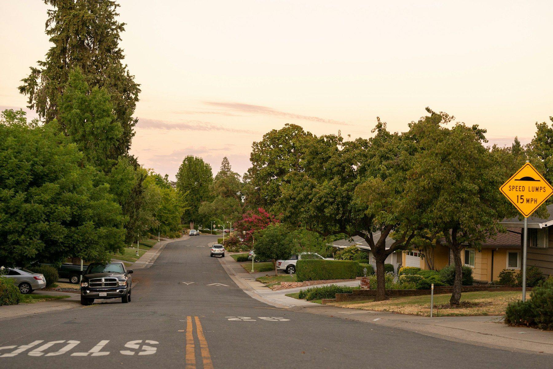 Tree-lined Sacramento residential street at golden hour