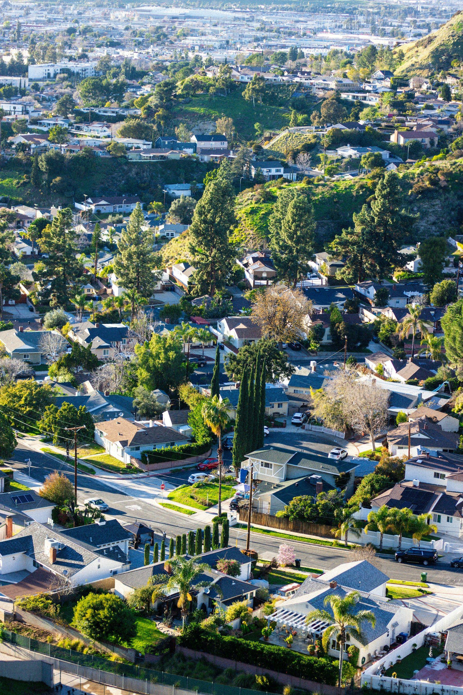 Aerial view of a leafy residential neighborhood