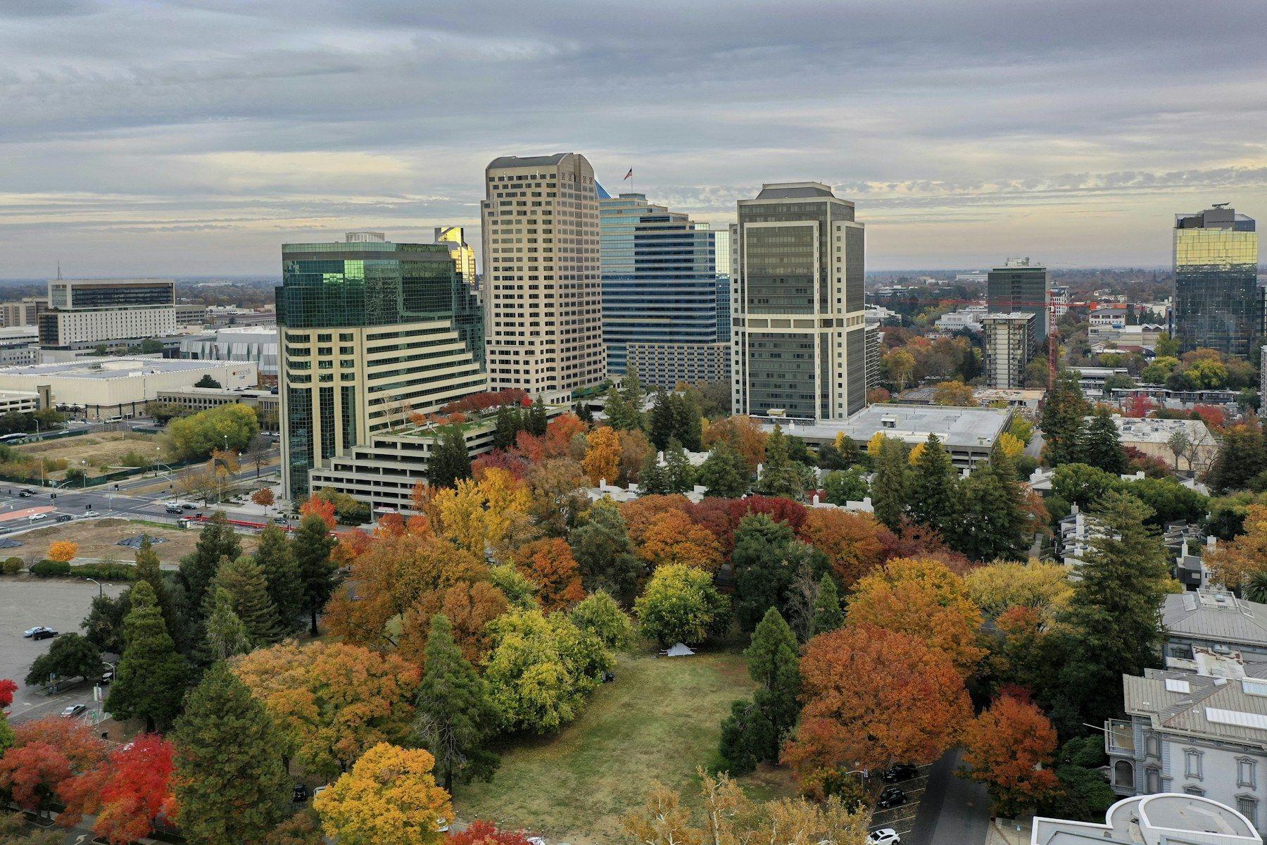Downtown Sacramento skyline above autumn trees in Capitol Park